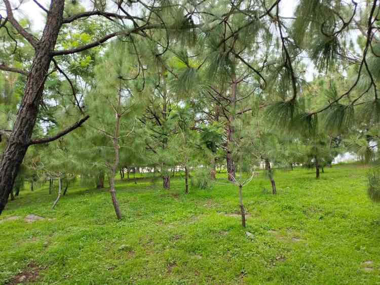 terreno en venta camino a los alamillos norte san agustin tlajomulco de zuniga jalisco pHk7F7v