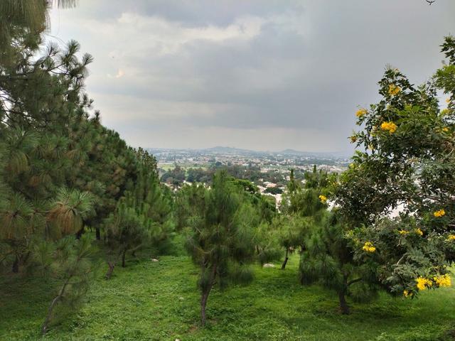 Foto de la galeria de imagenes